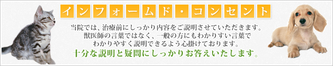 【インフォームド・コンセント】