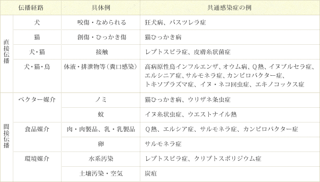 共通感染症について