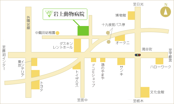 〒320-0851 栃木県宇都宮市鶴田町1302-1 岩上動物病院