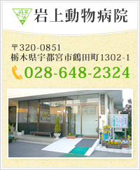 岩上動物病院 〒320-0851 栃木県宇都宮市鶴田町1302-1 TEL:028-648-2324